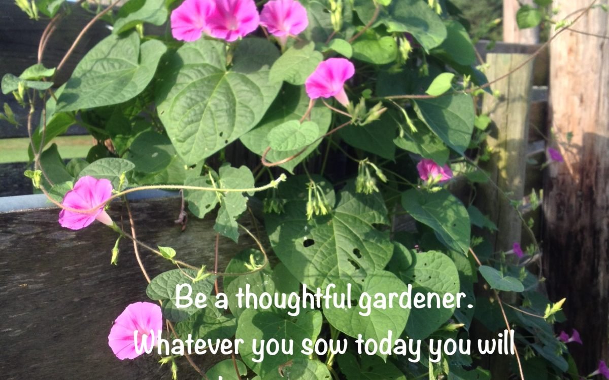 Seeding Positivity