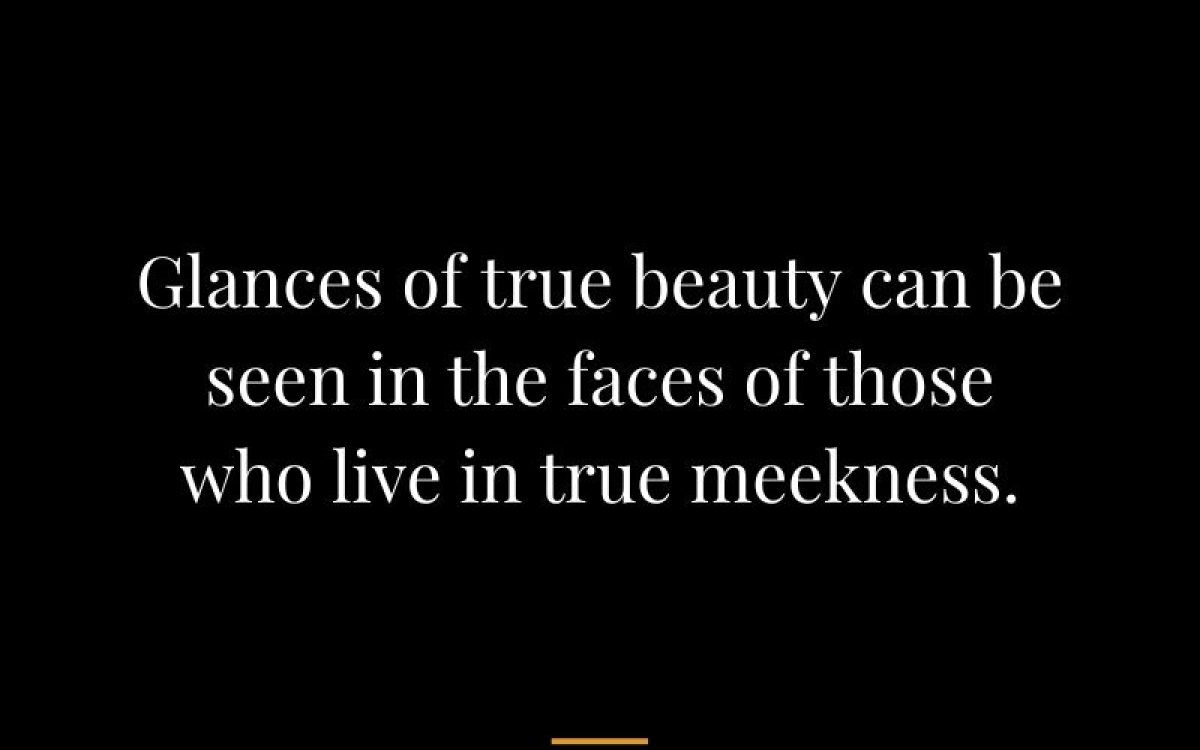 xr:d:DADziOoGv6g:80408,j:3555702729,t:23021222